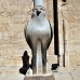 temple_edfu_lux_v_0171_egy2853.jpg